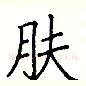肤