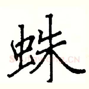 蛛