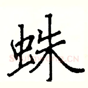 蛛