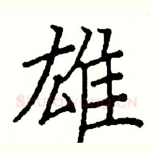 雄