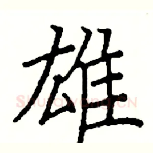 雄