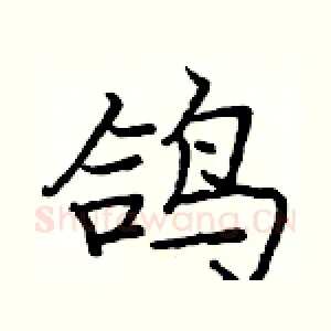 鸽