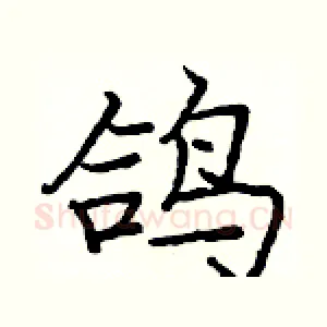鸽