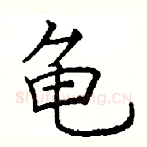 龟