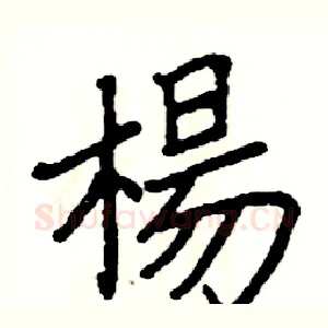 楊