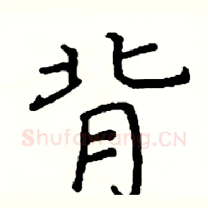 背