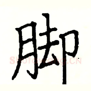 脚