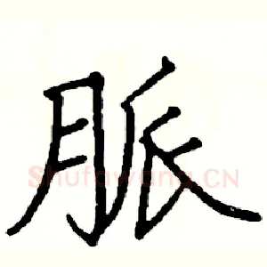 脈