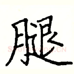 腿