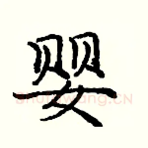 婴