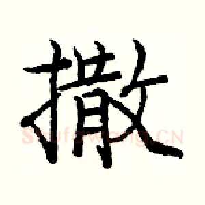 撒