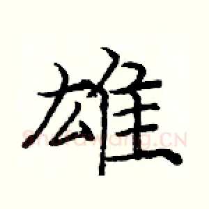 雄