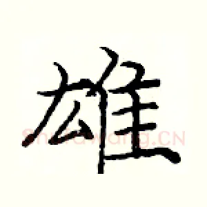 雄