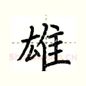 雄