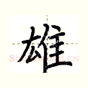 雄