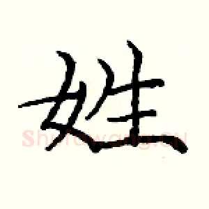 姓