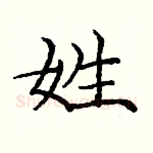 姓