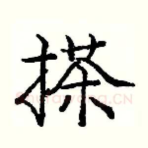 搽