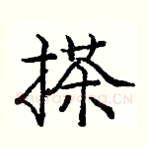 搽