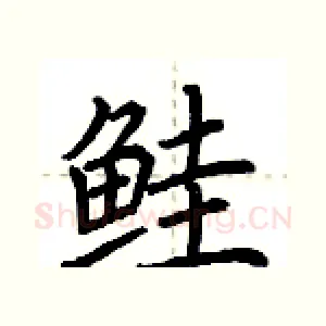 鲑