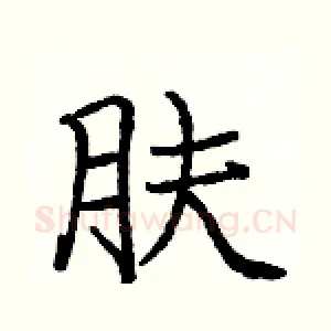 肤