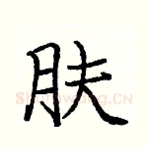 肤
