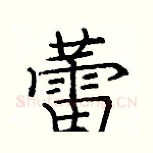 蕾