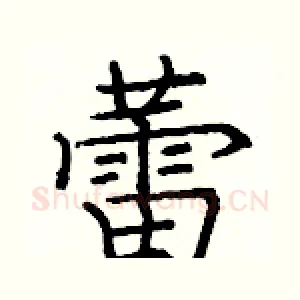 蕾