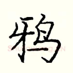 鸦