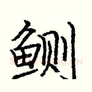 鲗