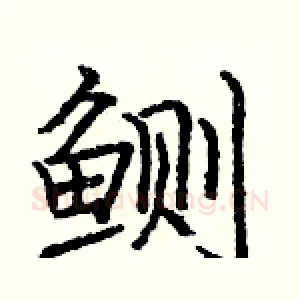 鲗