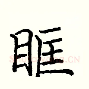 眶
