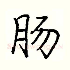 肠