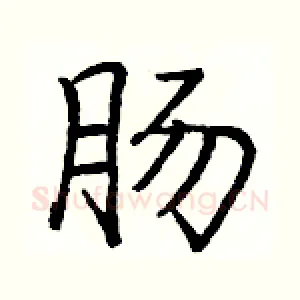 肠
