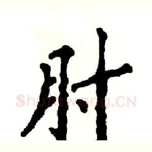 肘