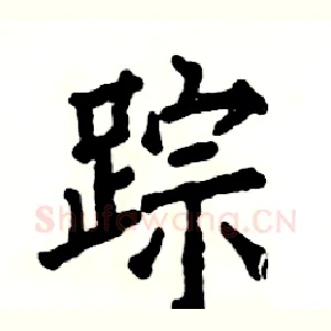 踪