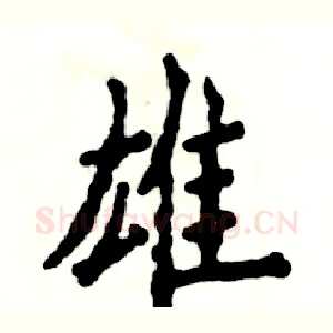 雄