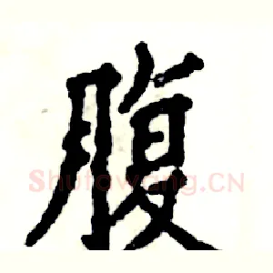 腹
