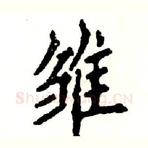 雏