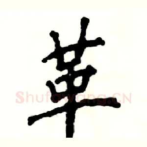 革