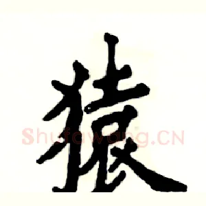 猿