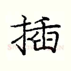 插