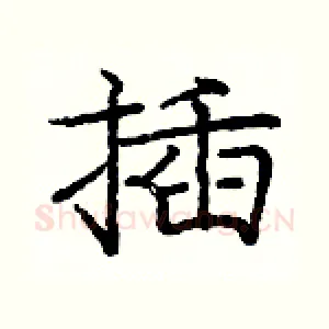 插