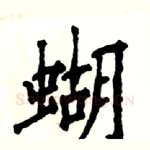 蝴