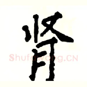 肾