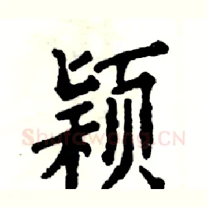 颖