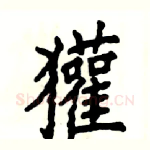 獾