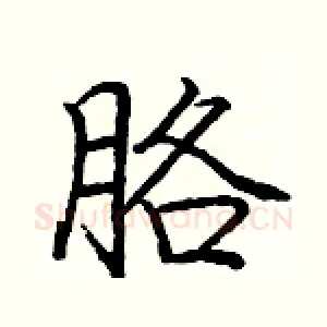 胳