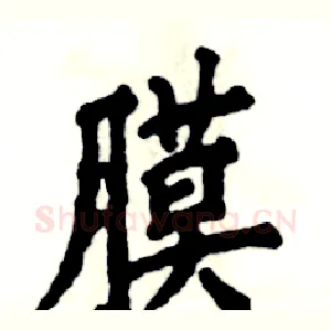 膜