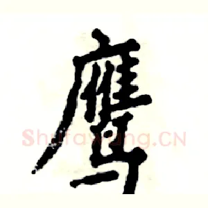 鹰